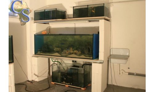 Zuchtraum und Garagenumbau 2010 2011